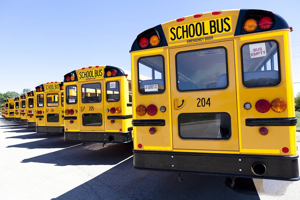 5 autobuses escolares