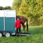 Guías y tamaños de remolques para caballos